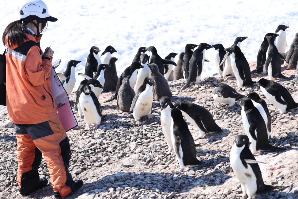 次南极考察队“雪龙”号凯旋九游会j9ag中国第41(图2) 次南极考察队“雪龙”号凯旋九游会j9ag中国第41(图2)